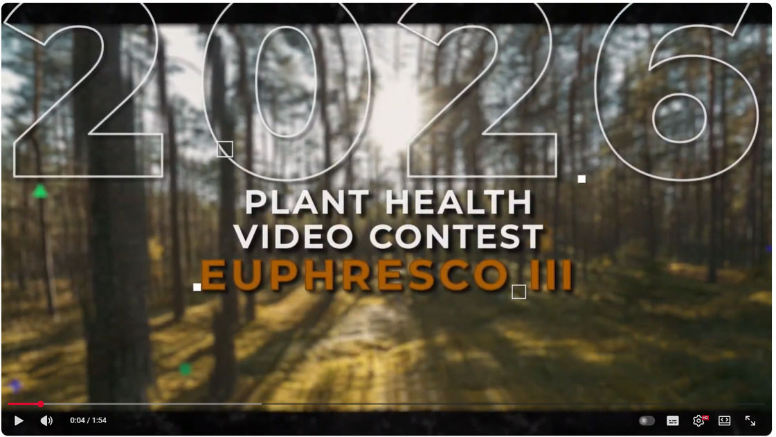 Video Contest 2026